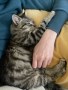 Jerry (1)5